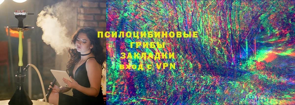 мет Алексин