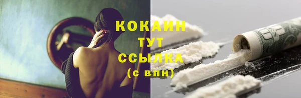 мет Алексин