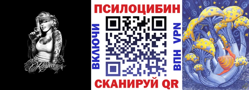 Псилоцибиновые грибы Cubensis  закладки  Санкт-Петербург 