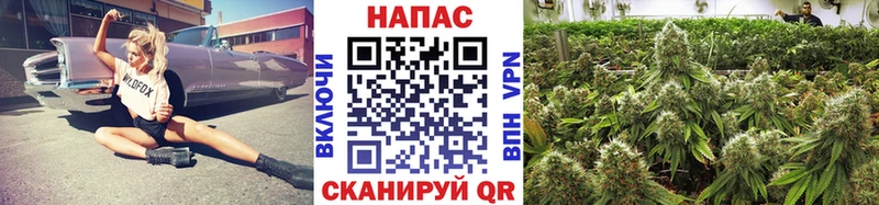 Каннабис Ganja как найти закладки ОМГ ОМГ ссылка Санкт-Петербург